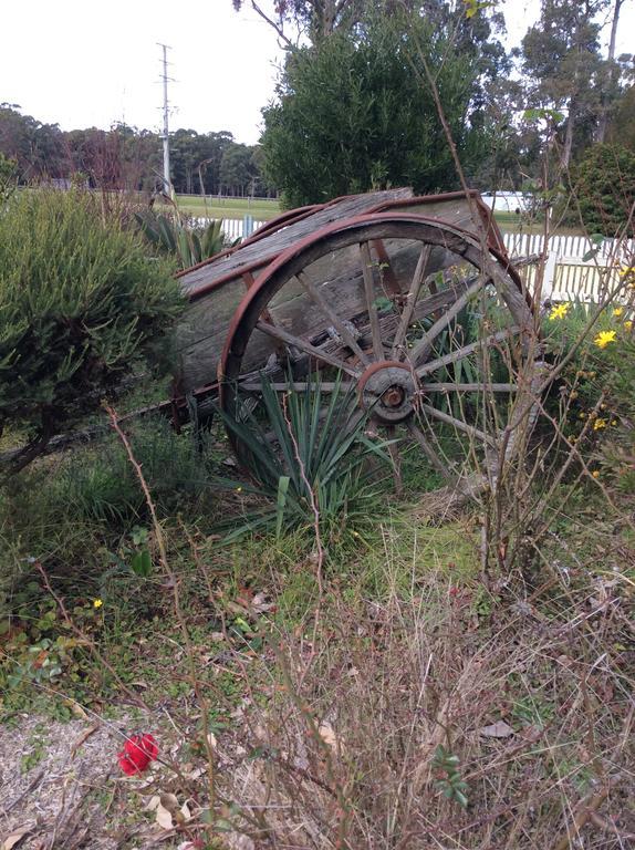 Snowy River Lodge Motel Orbost Esterno foto